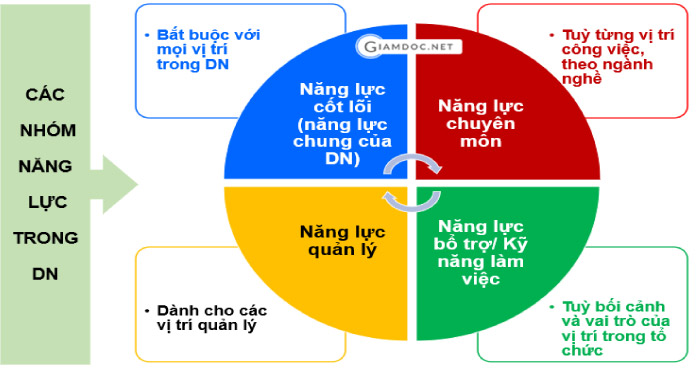 Xác định những mức tiêu chuẩn của năng lực